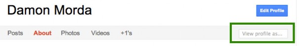 View your Google+ Profile as another user